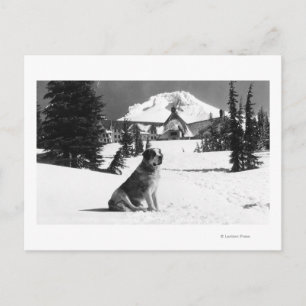 Timberline Lodge und "Lady" die Besitzerin Postkarte