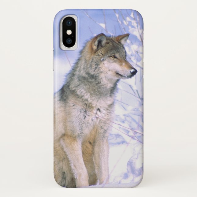 Timberwolf, der im Schnee sitzt, Canis Lupus, Case-Mate iPhone Hülle (Rückseite)