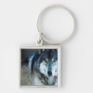 Timberwolf Schlüsselanhänger