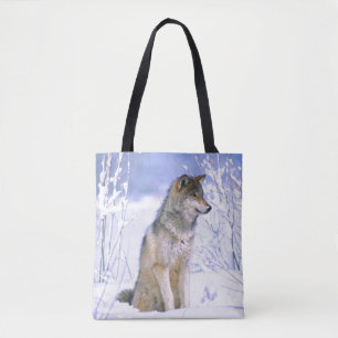 Timberwolf sitzt im Schnee, Canis lupus
