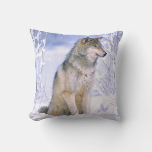 Timberwolf sitzt im Schnee, Canis lupus, Kissen