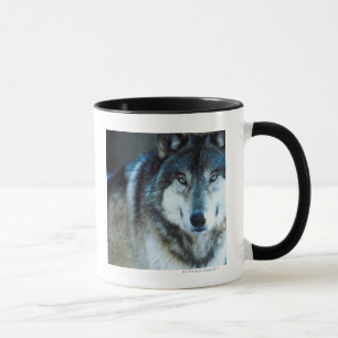 Timberwolf Tasse
