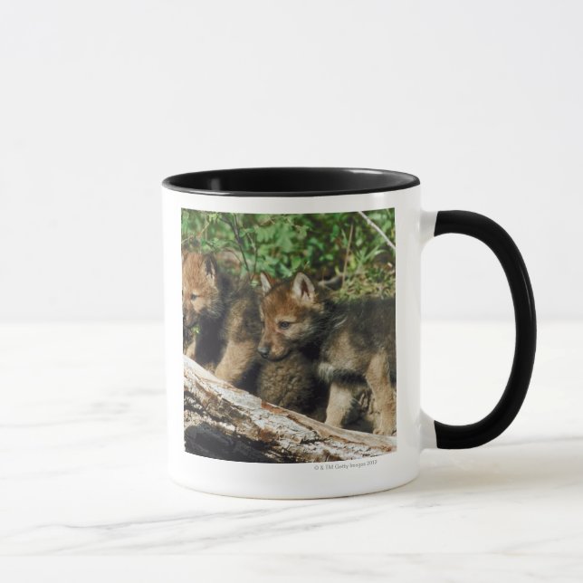 Timberwolfjunge Tasse (Rechts)