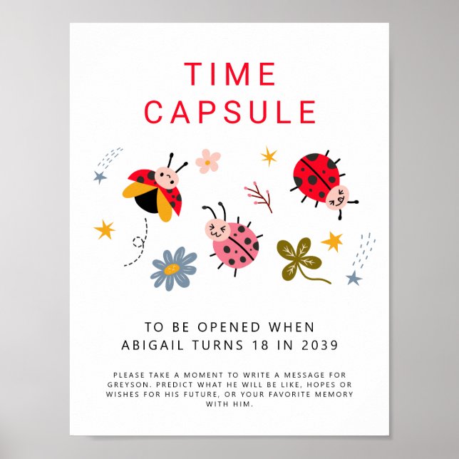 Time Capsule Sign Ladybug Geburtstagsparty Poster (Vorne)