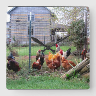 Time To Crow Quadratische Wanduhr