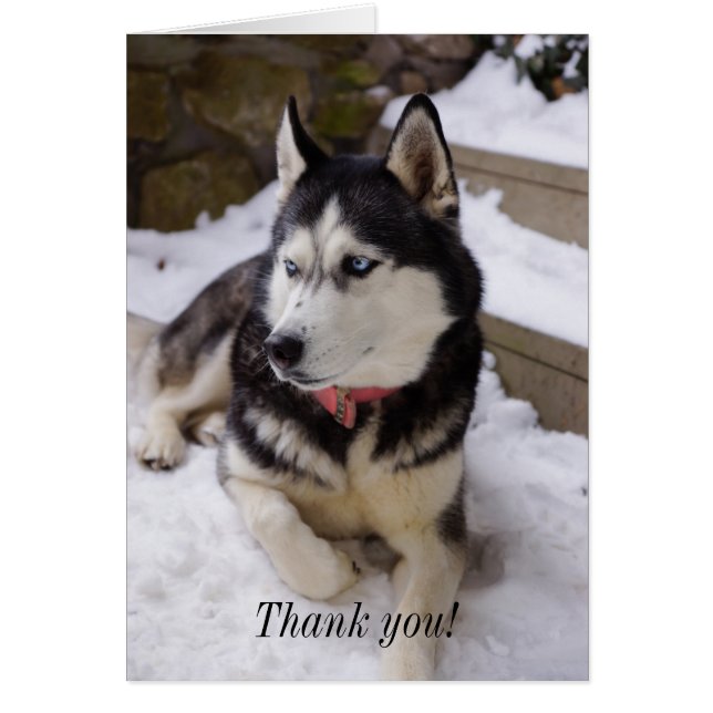 Time To Rest Thank You Card (Vorne)