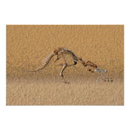 Time-Warp-Fossil Fotodruck