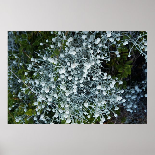 Timeless Journey Poster (Vorne)