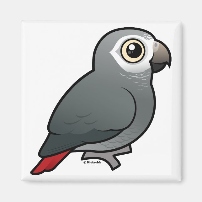 Timneh African Gray Parrot Magnet (Vorne)