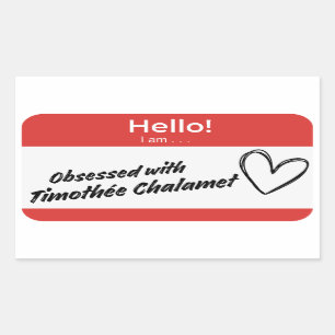 Timothée chalamet nametag rechteckiger aufkleber