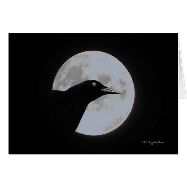 Timour (Vorderseite (Horizontal))