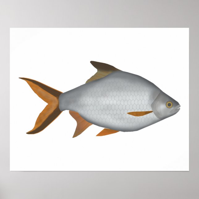 Tinfoil Barb Poster (Vorne)