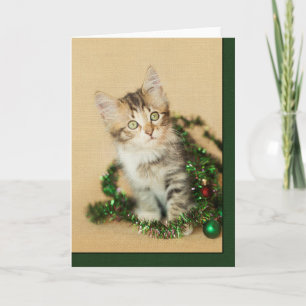 Tinsel Kitten Feiertagskarte
