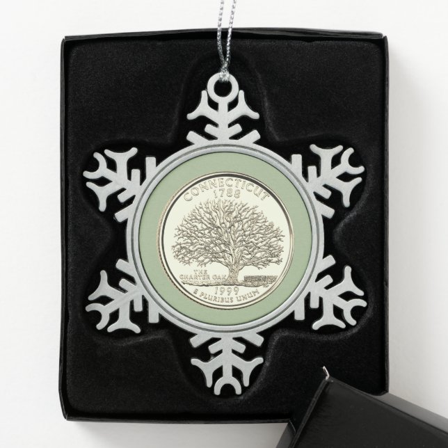 Tinte Connecticut Staat Quarter Schneeflocken Zinn-Ornament (Box)