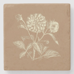 Tinte Vintag Zinnia Illustration Brown Steinuntersetzer
