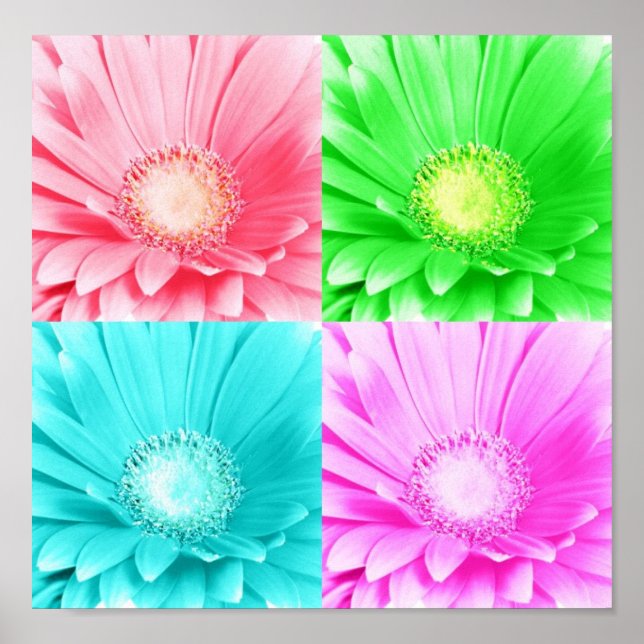 Tinted Gerbera Daisy Leinwand Poster (Vorne)