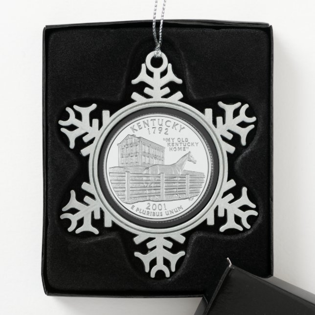 Tinted Kentucky Staat Quarter Schneeflocken Zinn-Ornament (Box)
