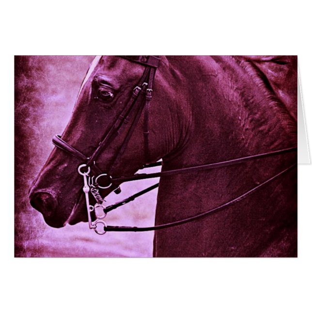 Tinted Saddlebred (Vorderseite (Horizontal))