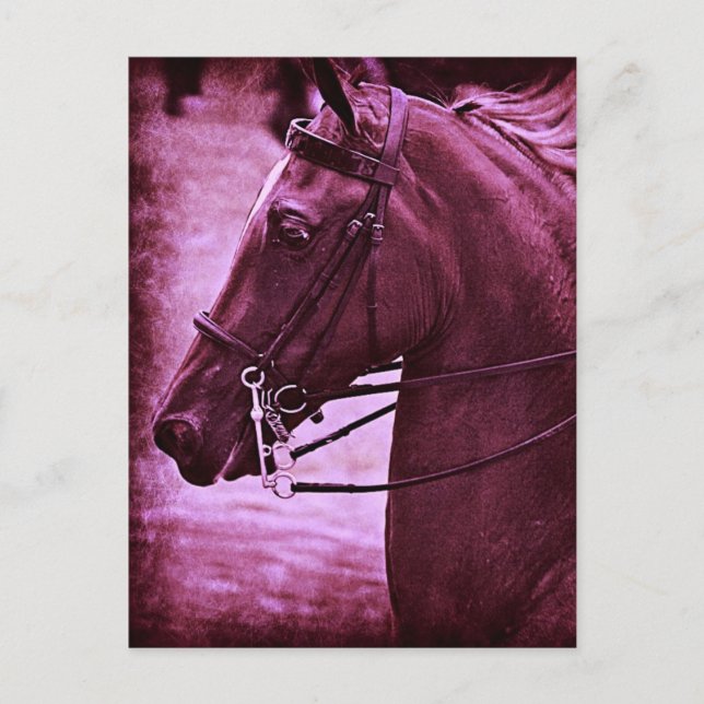 Tinted Saddlebred Postkarte (Vorderseite)