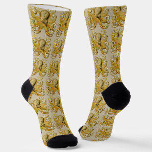 Tintenfisch Antiquität Illustration Meeresschmonst Socken