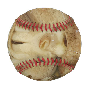 Tintenfisch - Calamari Baseball