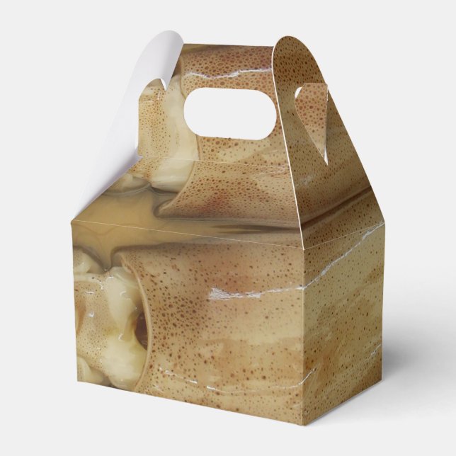 Tintenfisch - Calamari Geschenkschachtel (Vorderseite)