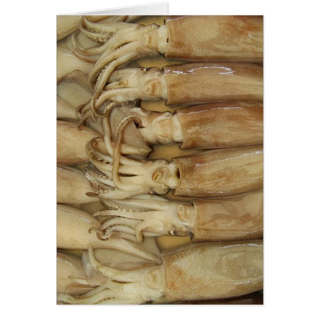 Tintenfisch - Calamari-Karte (Vorne)