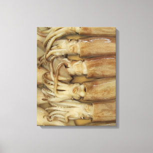 Tintenfisch - Calamari Leinwanddruck