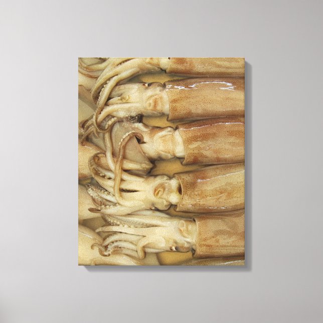 Tintenfisch - Calamari Leinwanddruck (Vorderseite)