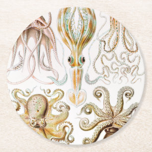 Tintenfisch, Gamochonia von Ernst Haeckel Runder Pappuntersetzer
