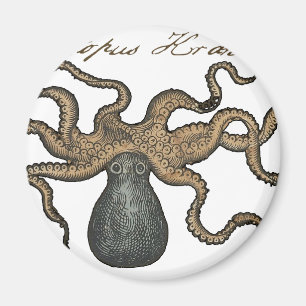 Tintenfisch Kraken Antik Küsten Meeresfauna Magnet