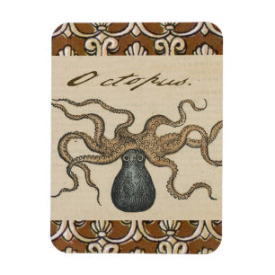 Tintenfisch Kraken Antik Küsten Meeresfauna Magnet