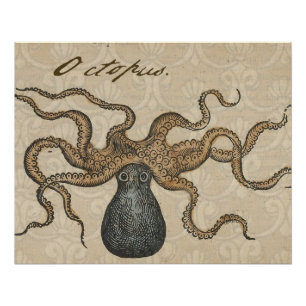 Tintenfisch Kraken Antik Küsten Meeresfauna Poster
