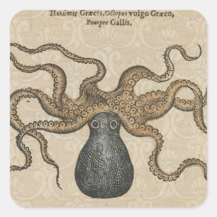 Tintenfisch Kraken Antik Küsten Meeresfauna Quadratischer Aufkleber