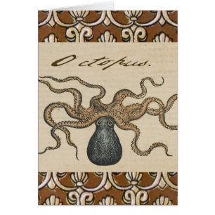 Tintenfisch Kraken Vintage-Illustration