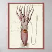 Tintenfisch Lila Cephalopod Sea Kreaturen Art Druc