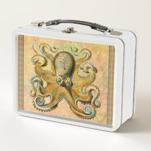 Tintenfisch Lunchbox