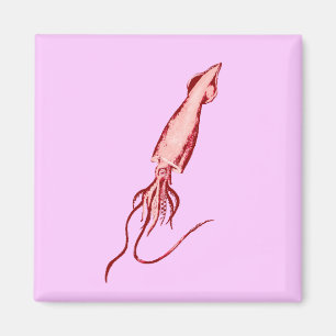 Tintenfisch Magnet