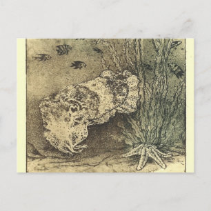 Tintenfisch Postkarte