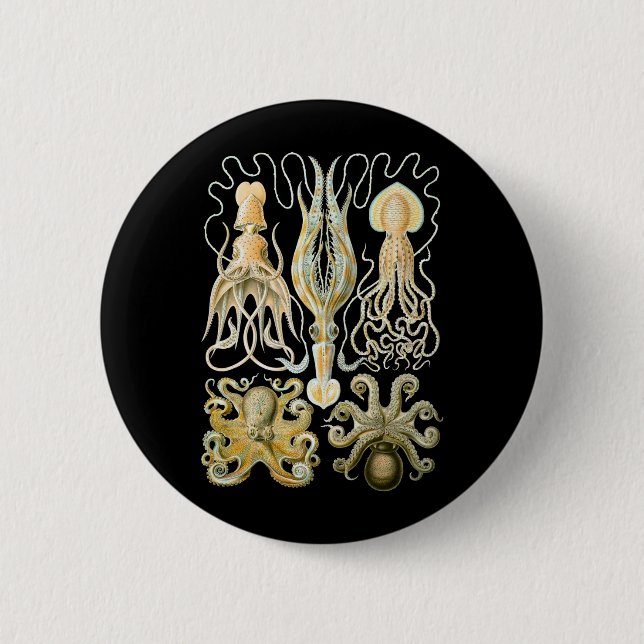 Tintenfisch u. Krake Button (Vorderseite)