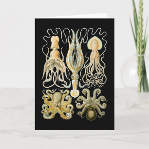 Tintenfisch u. Krake Karte