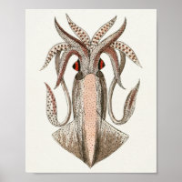 Tintenfisch Vintage Cephalopod Sea Kreaturen Art D