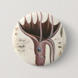 Tintenfisch, Vintage Meerestiere Button