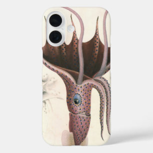 Tintenfisch, Vintage Meerestiere iPhone 16 Hülle
