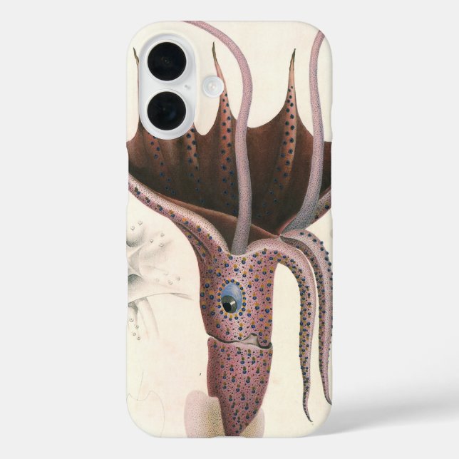 Tintenfisch, Vintage Meerestiere Case-Mate iPhone Hülle (Rückseite)