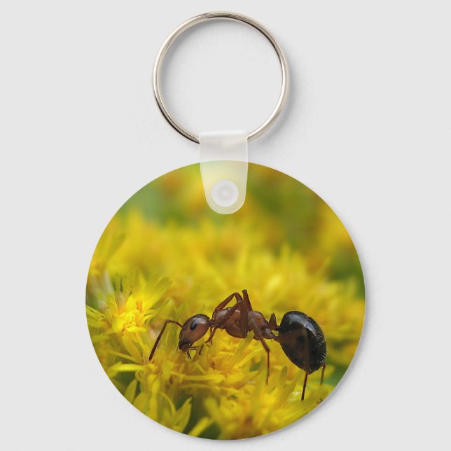 Tiny Ant auf Goldenrod Schlüsselanhänger (Vorderseite)