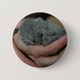 Tiny Baby Blue Kitten Button