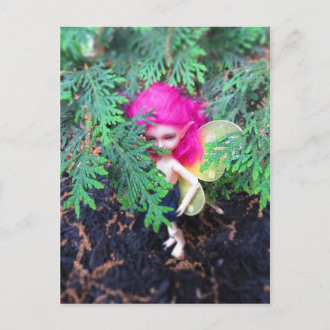 Tiny Bear Bracken, Asiatische Ball-Jointed Doll Postkarte (Vorderseite)