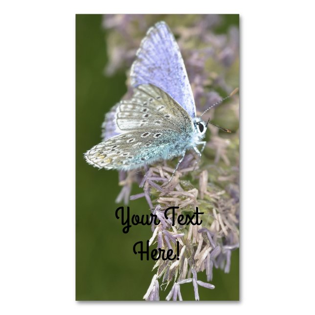 Tiny Beauty Magnetische Visitenkarte (Vorderseite Vertikal)