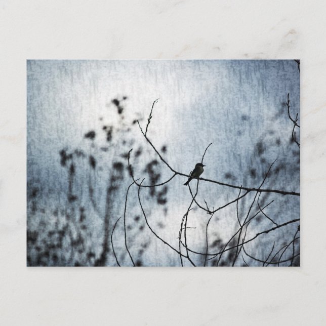 Tiny Bird Silhouette Postcard Postkarte (Vorderseite)